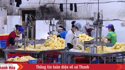 Conflito no Oriente Médio: Empresas na província de Thanh Hoa temem enfrentar inúmeras dificuldades.