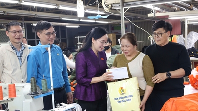 15. Ulusal Meclis Üyesi Do Thi Viet Ha, Phuong Son mahallesindeki işçileri ziyaret ederek onlara destek verdi.