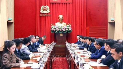 Promoting economic and trade relations between Vietnam and the United States.