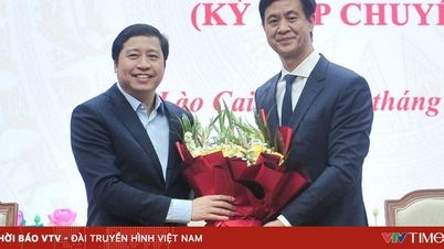 O Sr. Phan Trung Bá ocupa o cargo de Vice-Presidente do Comitê Popular da província de Lao Cai.
