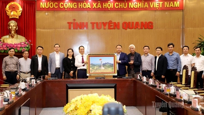 De voorzitter van het Provinciaal Volkscomité, Phan Huy Ngoc, werkt bij de HYH Group.