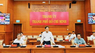 In Ho Chi Minh-stad werd een online vergadering gehouden met 168 wijken, gemeenten en speciale zones over de voorbereidingen voor de verkiezingen.