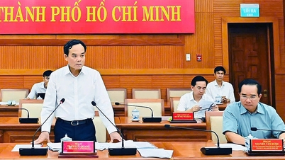 हो ची मिन्ह सिटी ने चुनाव तैयारियों के संबंध में 168 वार्डों, कम्यूनों और विशेष क्षेत्रों के साथ एक ऑनलाइन बैठक आयोजित की।
