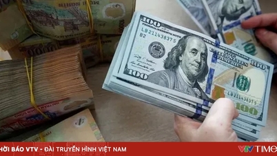베트남 중앙은행: 합법적인 외화 수요는 충분히 충족되고 있습니다.