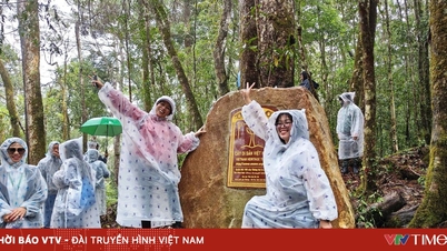 บิดูป - อุทยานแห่งชาติหนุยบา: การเดินทางเพื่อสัมผัสธรรมชาติอันบริสุทธิ์ท่ามกลางป่าอันกว้างใหญ่