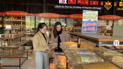 سیاحت کے ساتھ مل کر OCOP مصنوعات تیار کرنا - Cao Bang آن لائن اخبار