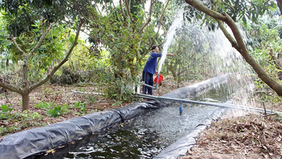 Proactive response to drought and salinity during the dry season.
