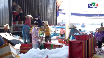 Mais de 2.800 toneladas de frutos do mar colhidos foram descarregadas no porto nos dois primeiros meses do ano.