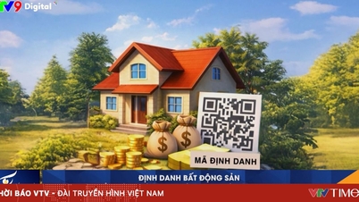 Gỡ vướng cấp mã định danh bất động sản