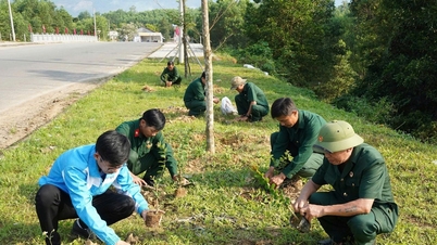 Launching the "Veterans' Association Rose Garden" and "Veterans' Nursery" models.