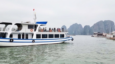 Provincie Quang Ninh nařídila přezkum po požáru turistické lodi v zátoce Ha Long.