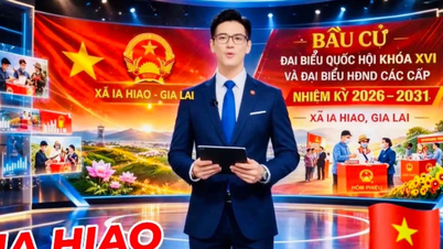 Divulgar informações eleitorais aos eleitores.