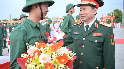 Jenderal Do Xuan Tung menghadiri upacara penyerahan dan penerimaan pasukan di Dong Thap.