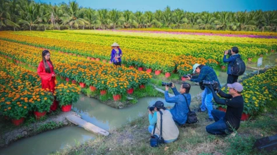 New, core issues in Resolution No. 80-NQ/TW of the Politburo on the development of Vietnamese culture.