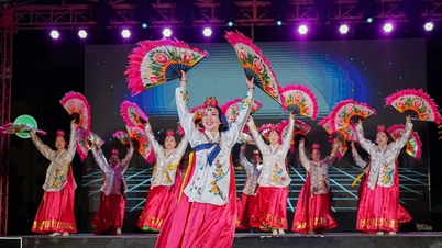 Höjdpunkter från Korean Traditional Arts Festival i Da Nang