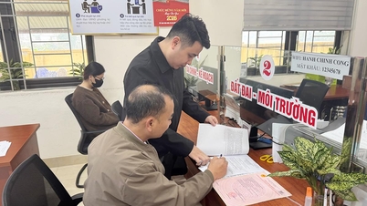 Motivation from the new land policy