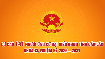 (រូបភាពក្រាហ្វិក) រចនាសម្ព័ន្ធបេក្ខជនចំនួន ១៤១ រូបសម្រាប់ក្រុមប្រឹក្សាប្រជាជនខេត្តដាក់ឡាក់ អាណត្តិទី ១១ ឆ្នាំ ២០២៦-២០៣១