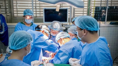 La colaboración interhospitalaria trató con éxito un caso raro de cáncer de cavidad nasal.