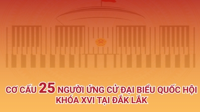 (រូបភាពក្រាហ្វិក) រចនាសម្ព័ន្ធបេក្ខជនចំនួន ២៥ រូបសម្រាប់រដ្ឋសភានីតិកាលទី ១៦ នៅខេត្តដាក់ឡាក់