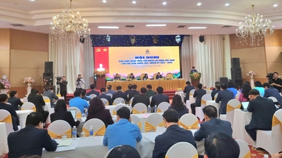 M. Nguyen Anh Tuan a été élu au poste de président de la Confédération générale du travail du Vietnam.