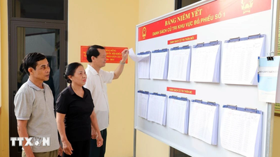 Pemilihan Majelis Nasional dan Dewan Rakyat: Provinsi Ninh Binh Berupaya Meraih Kemenangan Berdasarkan Kepercayaan