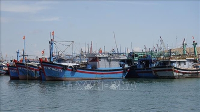 Gia Lai is de eerste provincie die scheepsvolgsystemen installeert op vissersboten met een lengte tussen de 12 en 15 meter.
