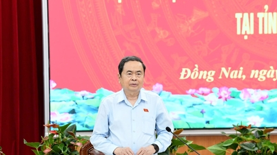 Pengerusi Dewan Undangan Negeri, Tran Thanh Man, bekerjasama dengan Jawatankuasa Pilihan Raya Wilayah Dong Nai.