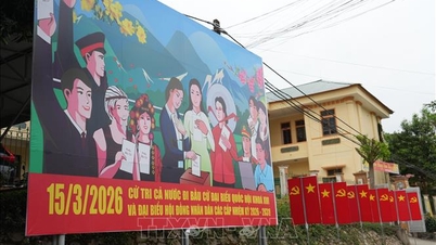 Nghe An: Comprehensive review and verification of residency in preparation for the 2026-2031 election.
