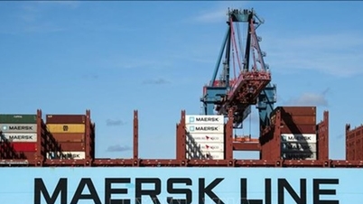Les taux de fret en mer Baltique ont atteint leur plus haut niveau depuis plus de deux mois, les prix des navires Capesize augmentant de 3,6 %.