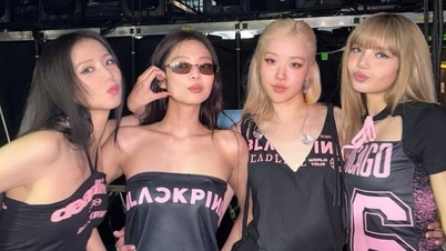 Новый альбом BlackPink вызвал споры: одни хвалят его как шедевр, другие критикуют за отсутствие новаторства.