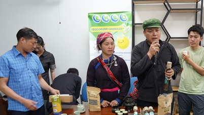 Da Nang memperkuat hubungan antara ekosistem startup-nya dengan provinsi Lao Cai dan Son La.