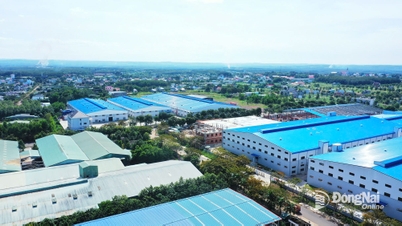 Dong Nai attire plus de 1,3 milliard de dollars d'investissements.