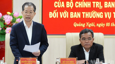 Quang Ngai প্রাদেশিক পার্টি কমিটির স্থায়ী কমিটির পরিদর্শন এবং তত্ত্বাবধান পরিচালনার সিদ্ধান্তের ঘোষণা।
