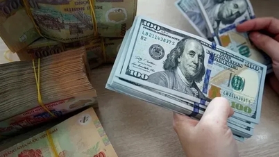 Meeting the economy's legitimate foreign currency needs.