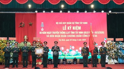 Den 80 år lange arven etter soldatene fra jernlandet Tay Ninh.