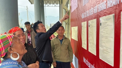 Trung Ly está pronto para o grande evento.