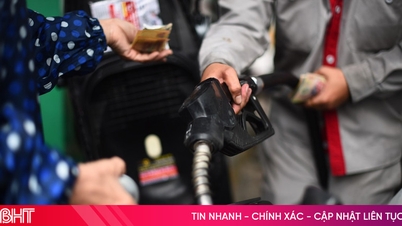 Penyesuaian harga bahan bakar hari ini: Harga minyak tanah naik lebih dari 7.000 VND per liter.