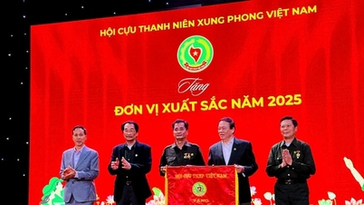 党の意志とホーおじさんの言葉は、首都の青年義勇軍の英雄的な伝統を永遠に照らすでしょう。