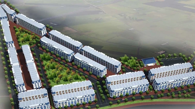 Bac Ninh approuve les résultats de la vente aux enchères d'un complexe résidentiel dans le quartier de Que Vo, l'offre gagnante s'élevant à 545 milliards de VND.