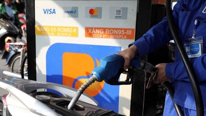 Harga bensin dan solar mengalami kenaikan tajam di semua sektor, dengan kenaikan tertinggi mencapai 7.132 VND per liter.