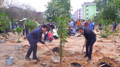 Plantering av 2 000 akaciaträd i Hue universitets stadsplaneringsområde.