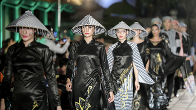 Cuando el Ao Dai (vestido tradicional vietnamita) aparece en el escenario internacional.