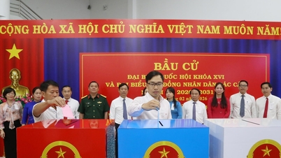 Bandar Raya Ho Chi Minh: Setiap ahli Kesatuan Belia merupakan "tangan yang dihulurkan" yang menyebarkan maklumat pilihan raya.