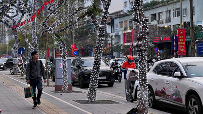 Hanoï : L'installation de guirlandes lumineuses décoratives sur les arbres peut nécessiter une autorisation.