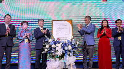 ជាសាកលវិទ្យាល័យដំបូងគេនៅប្រទេសវៀតណាម ដែលទទួលបានការទទួលស្គាល់អន្តរជាតិពី THE-ICE អូស្ត្រាលី។