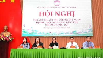 Voters in Tan Lap ward expect representatives who are dedicated to the people and closely connected to the grassroots.