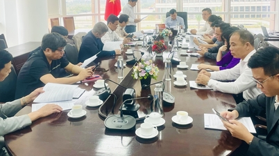 Sở Tư pháp họp về việc thành lập Hội Thừa phát lại thành phố Hải Phòng