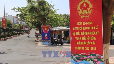 Zona Economică Specială Phu Quy este pregătită pentru ziua alegerilor.