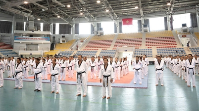 Szakmai képzés és országos taekwondo promóciós vizsga a déli régióban.