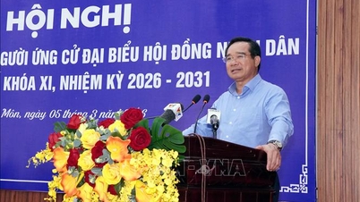 Ciudad Ho Chi Minh debe abordar periódicamente las cuestiones urgentes planteadas por los votantes.